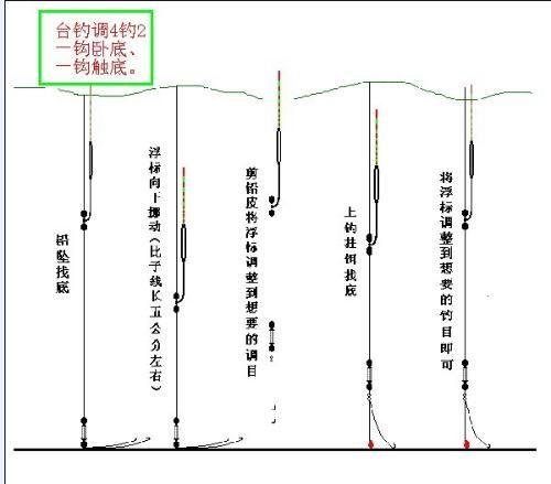 化绍新钓鱼调漂视频,视频教程深度解析