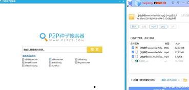 敏感下载种子无码 下载,敏感内容的暗流涌动