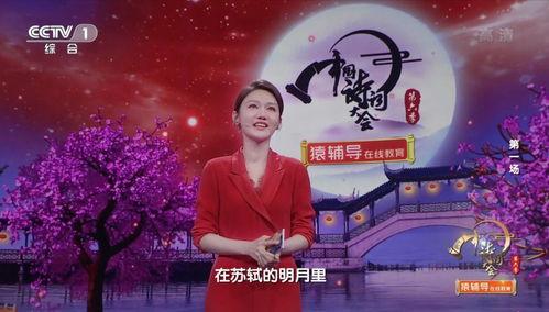 中国朋友6季在线播放,六季情感之旅，在线播放见证成长与变迁
