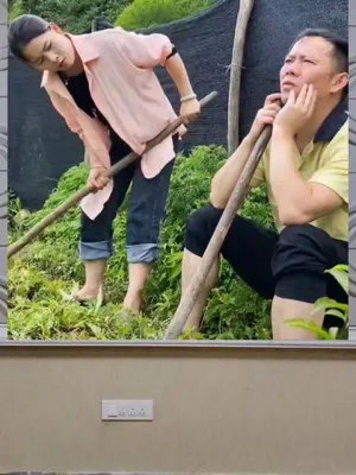 娱乐八卦吃瓜群众穿搭,吃瓜群众也能学到的时尚秘籍